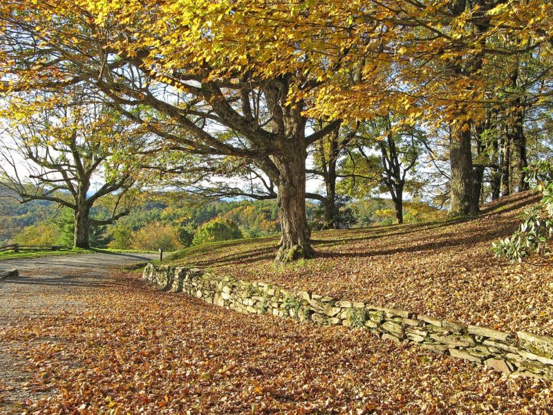 Blue Ridge Parkway Moisés Cone Parque