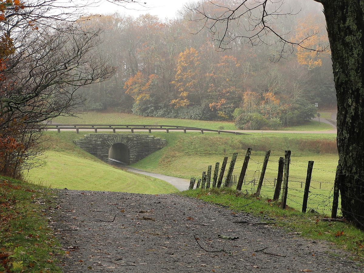 Moses H. Cone Memorial Park - Blue Ridge Parkway