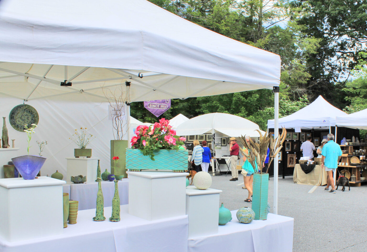 Art in the Park - Blue Ridge Parkway